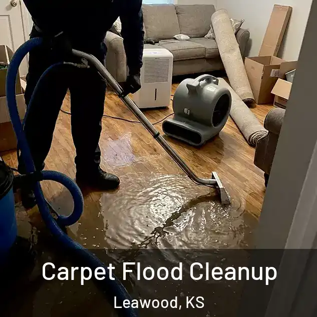  Carpet Flood Cleanup Leawood, KS