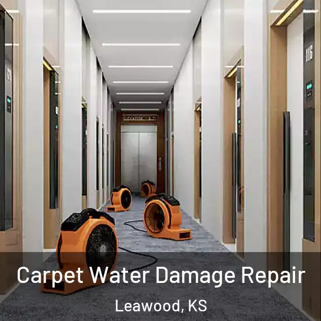  Carpet Water Damage Repair Leawood, KS