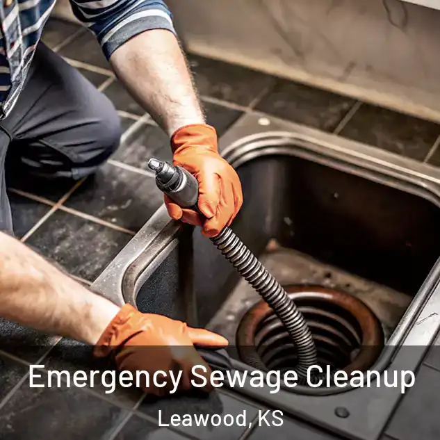 Emergency Sewage Cleanup Leawood, KS