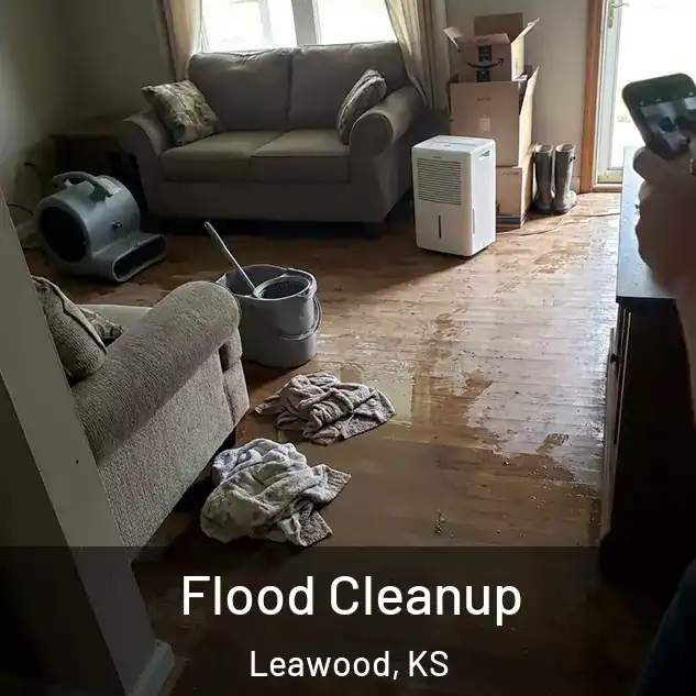  Flood Cleanup Leawood, KS