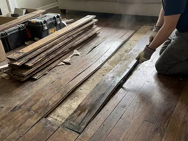 Water Damage Drying in Leawood
