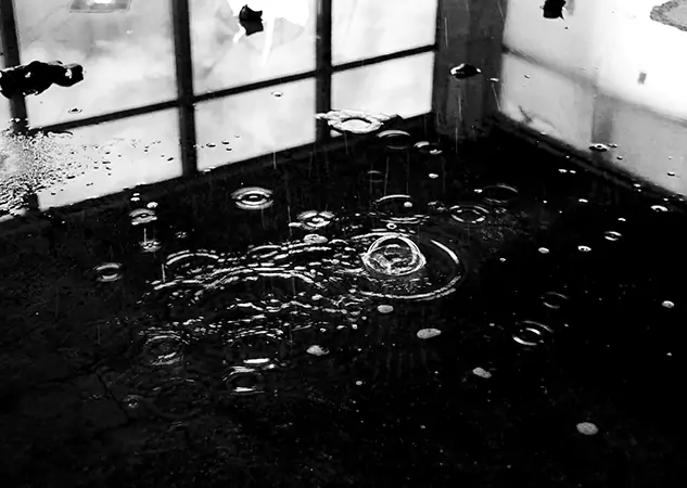 Your Contaminated Water Removal Specialists in Leawood, KS