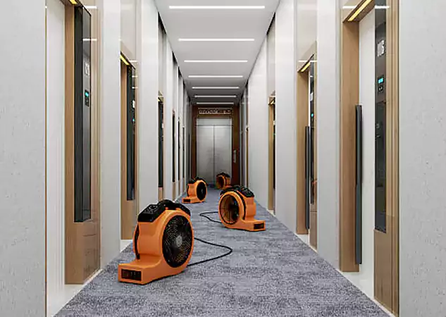 Your Flood Recovery Specialists in Leawood, KS