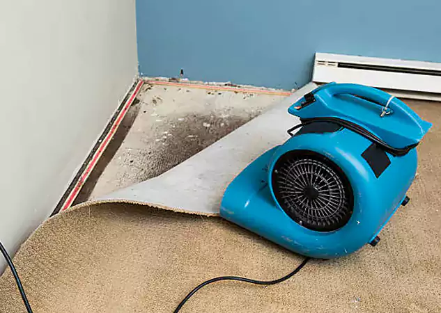 Your Water Damage Experts in Leawood, KS