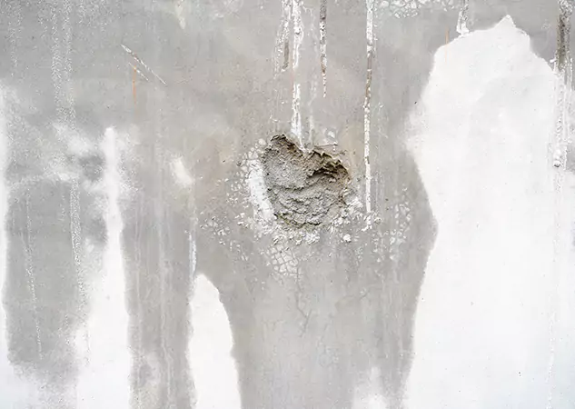 Your Mold Mitigation Solutions Partner in Leawood, KS