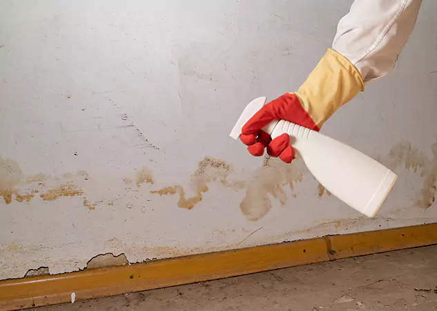 Your Water Restoration and Mold Remediation Specialists in Leawood, KS
