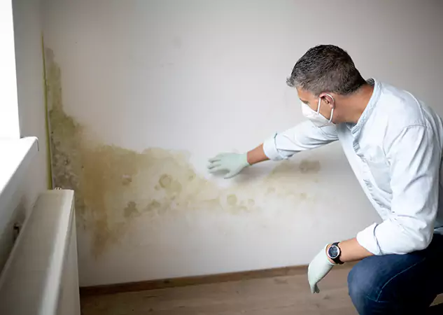 Reach Our Remediation Team Before Damage Grows in Leawood, KS!