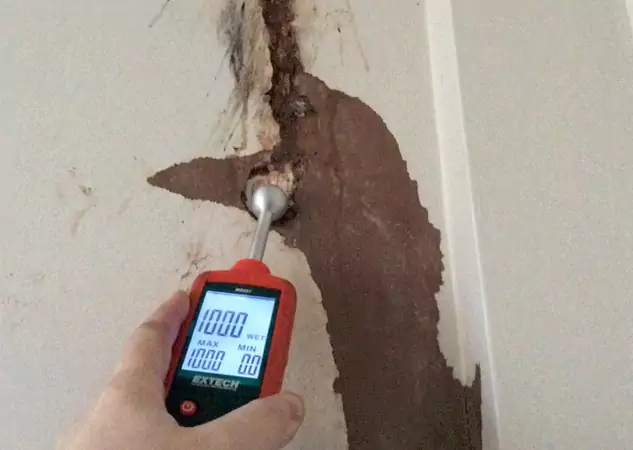 Your Water Damage Assessment Partner in Leawood, KS