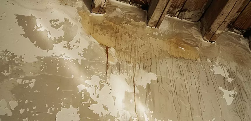Professional Attic Water Damage Repair Services in Leawood, KS