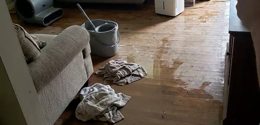 Professional Basement Water Remediation Services in Leawood, KS
