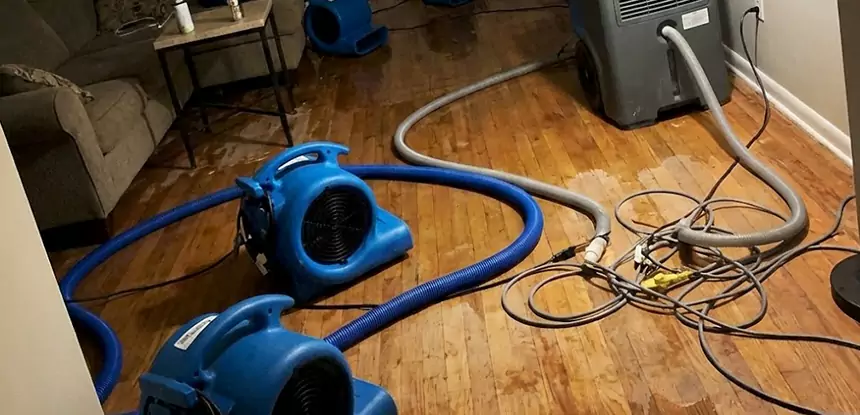 Basement Flood Restoration Services in Leawood