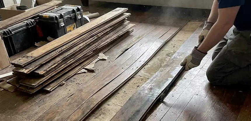 Wood Rot and Fungus Repair in Leawood