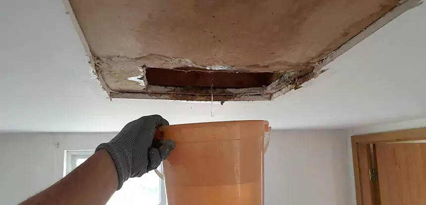 Ceiling Mold Repair Leawood 