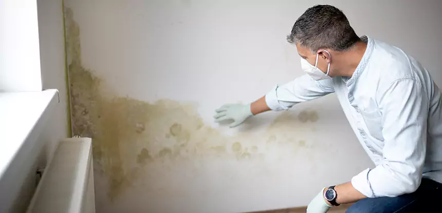 Mold and Water Damage Repair in Leawood
