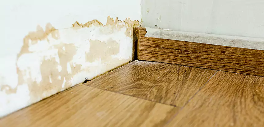 Professional Fix Water Damaged Wood Services in Leawood, KS