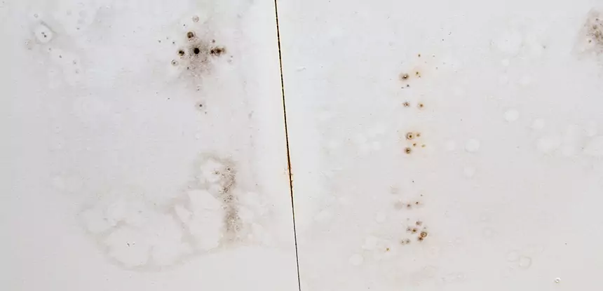 Professional Water Stain Repair Services in Leawood, KS