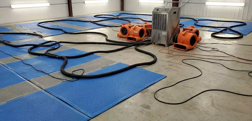 Professional Flooded Carpet Drying Services in Leawood, KS