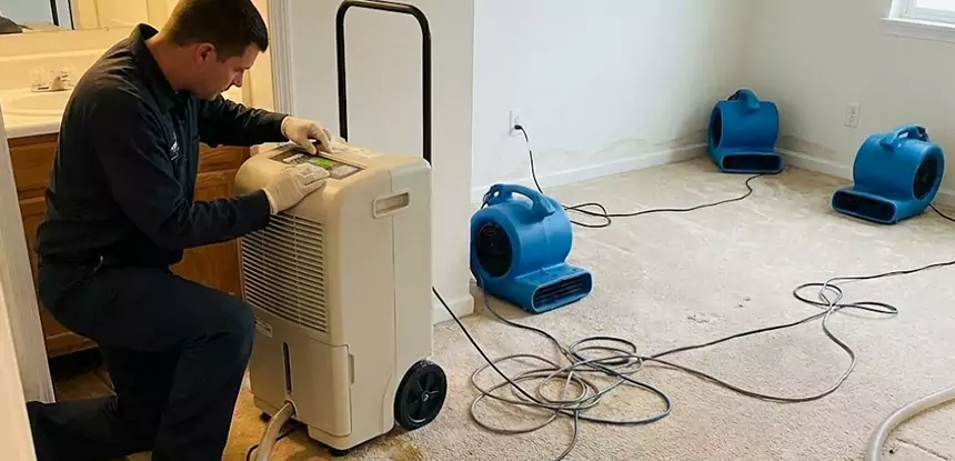 Professional Wet Carpet Removal Services in Leawood, KS