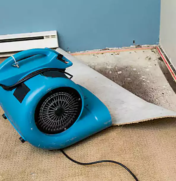 Why Leawood Trusts Leawood Restoration Pro for Carpet Flood Recovery?