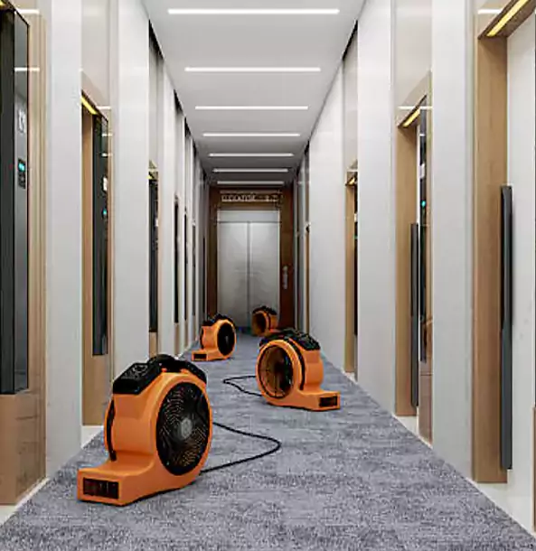 Why Leawood Trusts Leawood Restoration Pro?