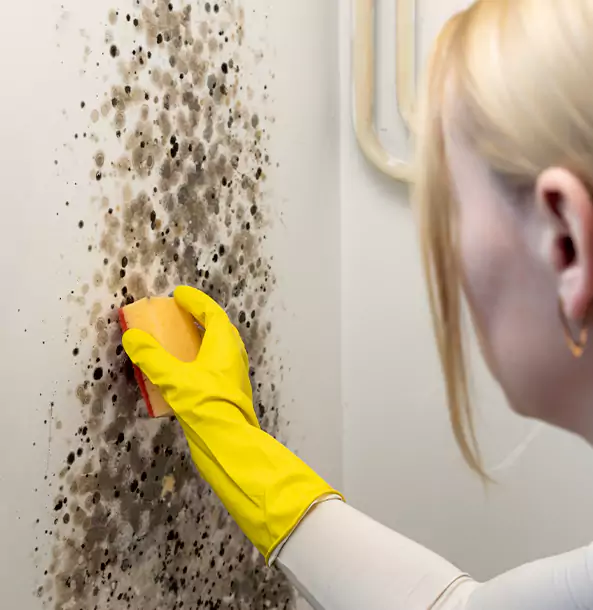 Why Leawood Restoration Pro Leads Mold Remediation in Leawood?