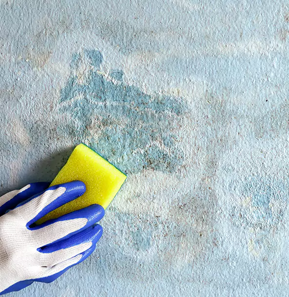 Why Leawood Restoration Pro Is the Right Choice in Leawood, KS?