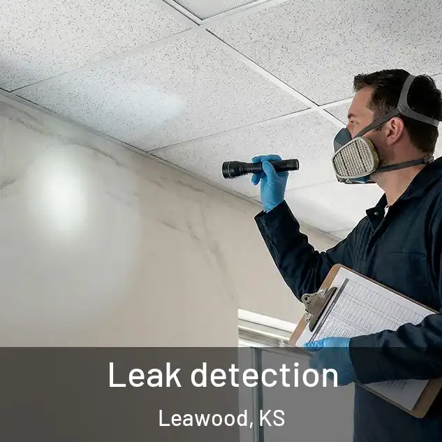  Leak detection Leawood, KS