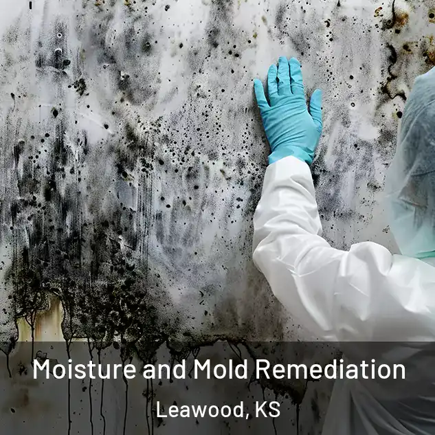  Moisture and Mold Remediation Leawood, KS