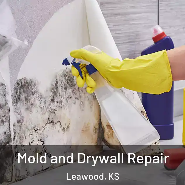  Mold and Drywall Repair Leawood, KS
