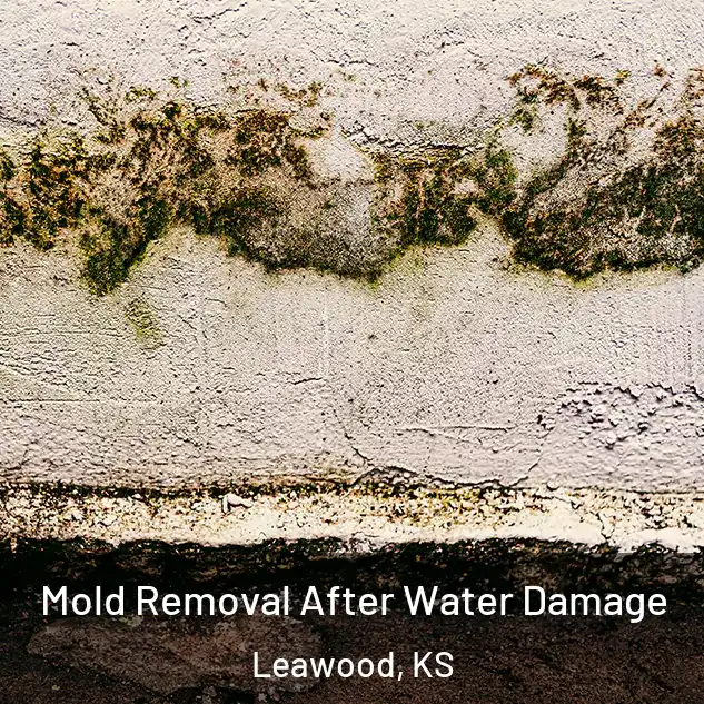  Mold Removal After Water Damage Leawood, KS