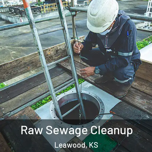 Raw Sewage Cleanup Leawood, KS