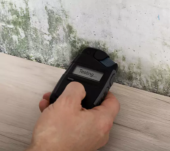 Mold Remediation Service Leawood