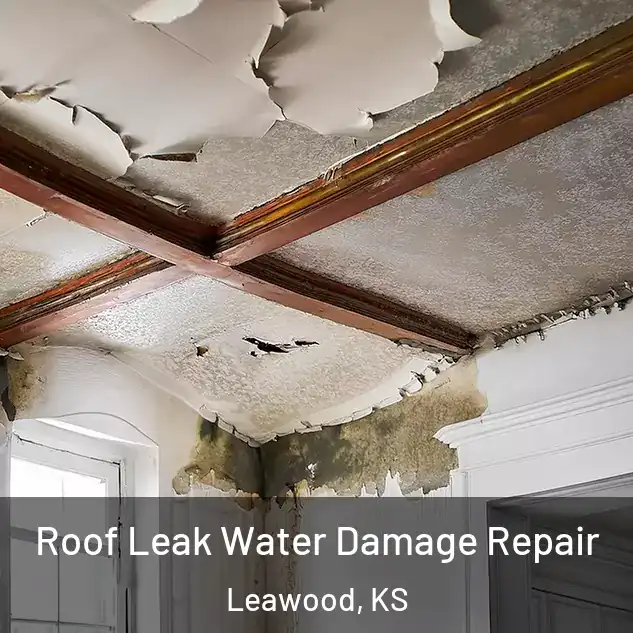  Roof Leak Water Damage Repair Leawood, KS