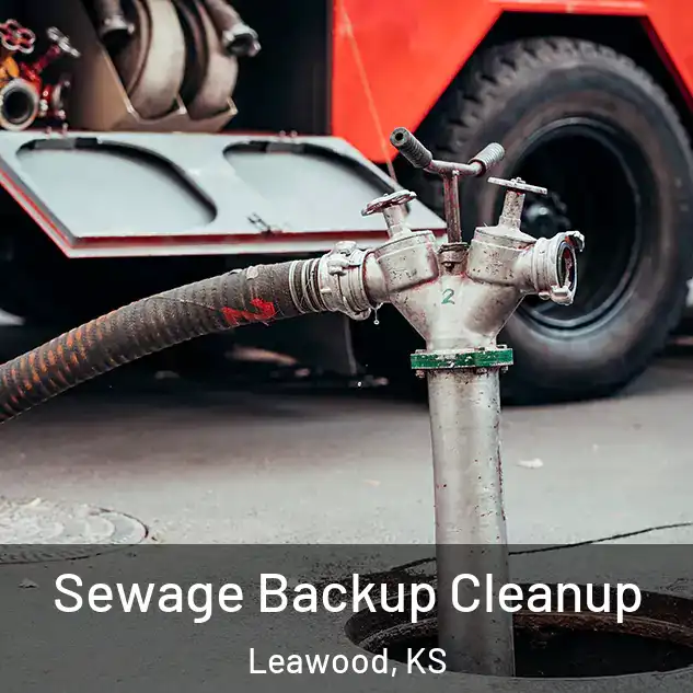  Sewage Backup Cleanup Leawood, KS