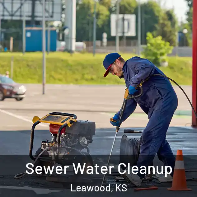  Sewer Water Cleanup Leawood, KS