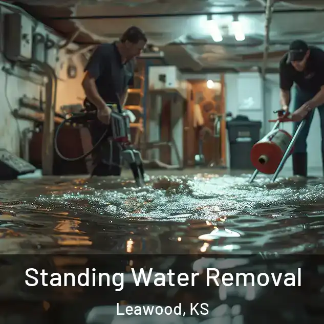  Standing Water Removal Leawood, KS