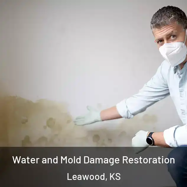  Water and Mold Damage Restoration Leawood, KS