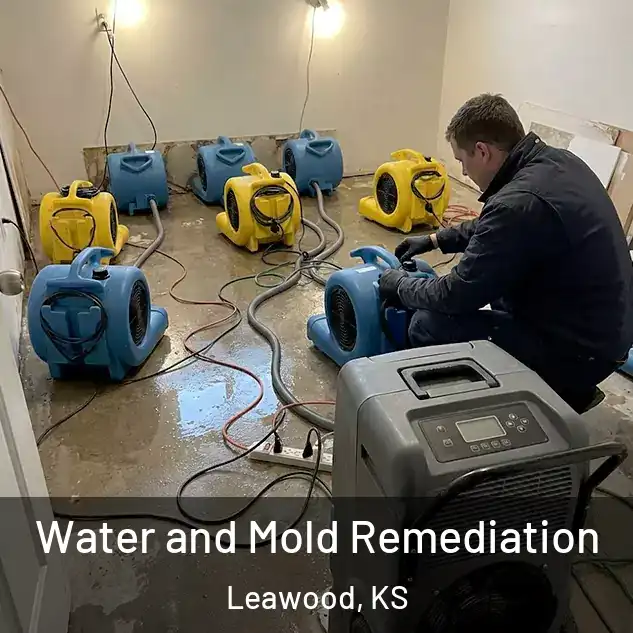  Water and Mold Remediation Leawood, KS