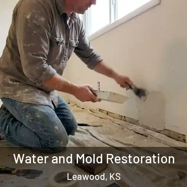  Water and Mold Restoration Leawood, KS