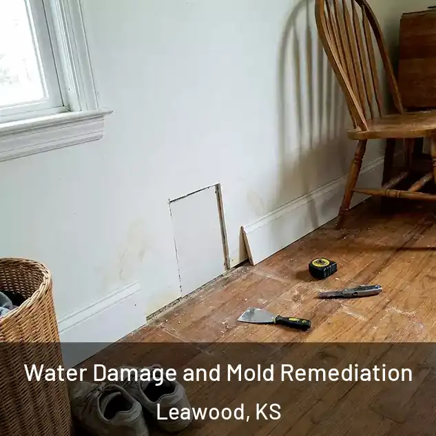  Water Damage and Mold Remediation Leawood, KS