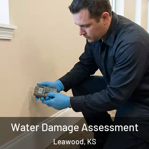  Water Damage Assessment Leawood, KS