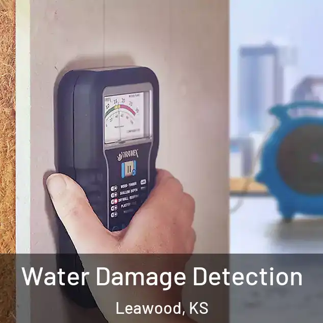  Water Damage Detection Leawood, KS