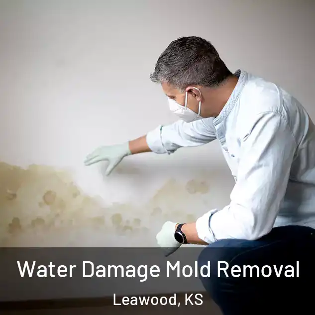  Water Damage Mold Removal Leawood, KS