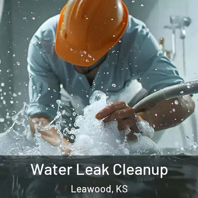  Water Leak Cleanup Leawood, KS