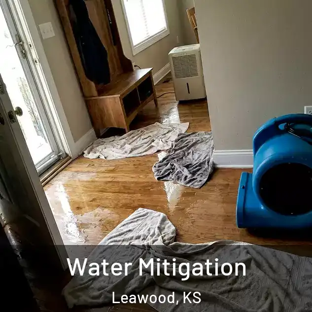  Water Mitigation Leawood, KS