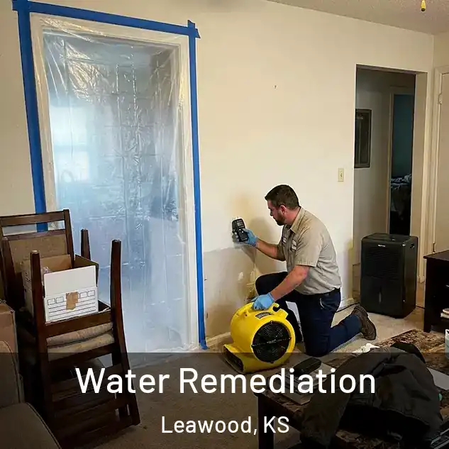  Water Remediation Leawood, KS