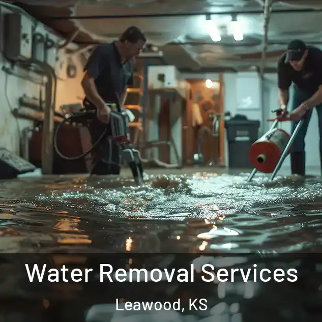 Water Removal Services Leawood, KS