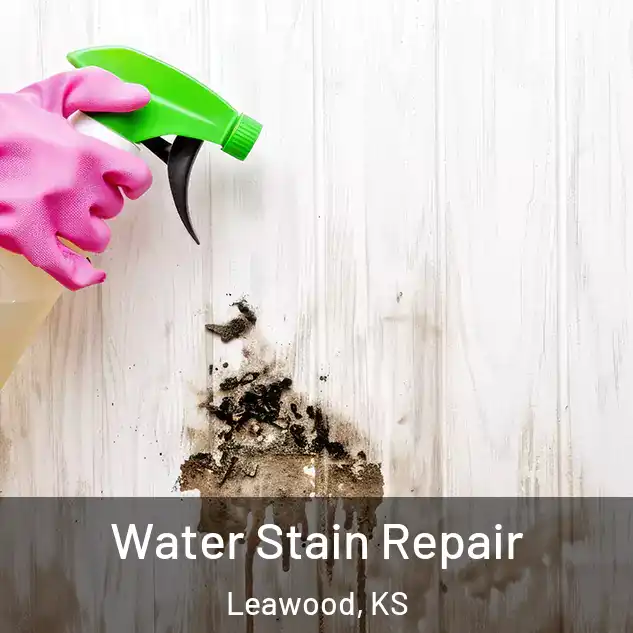  Water Stain Repair Leawood, KS