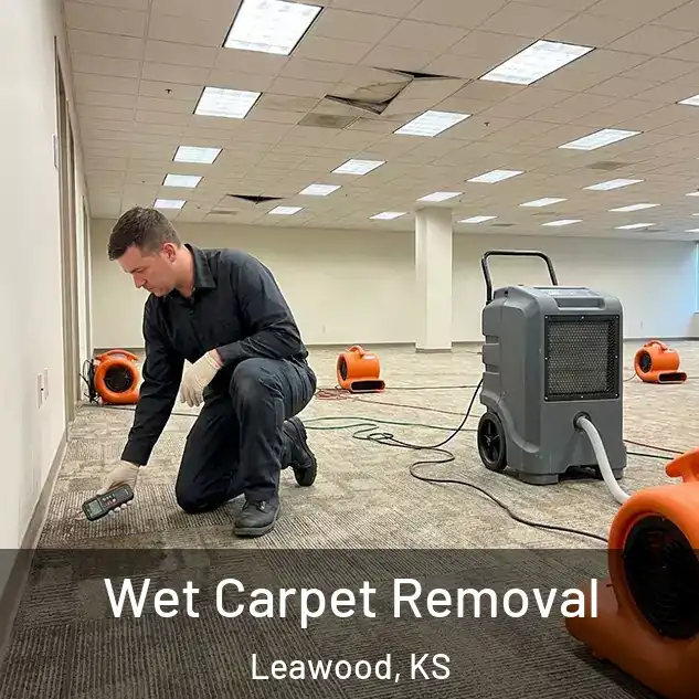  Wet Carpet Removal Leawood, KS